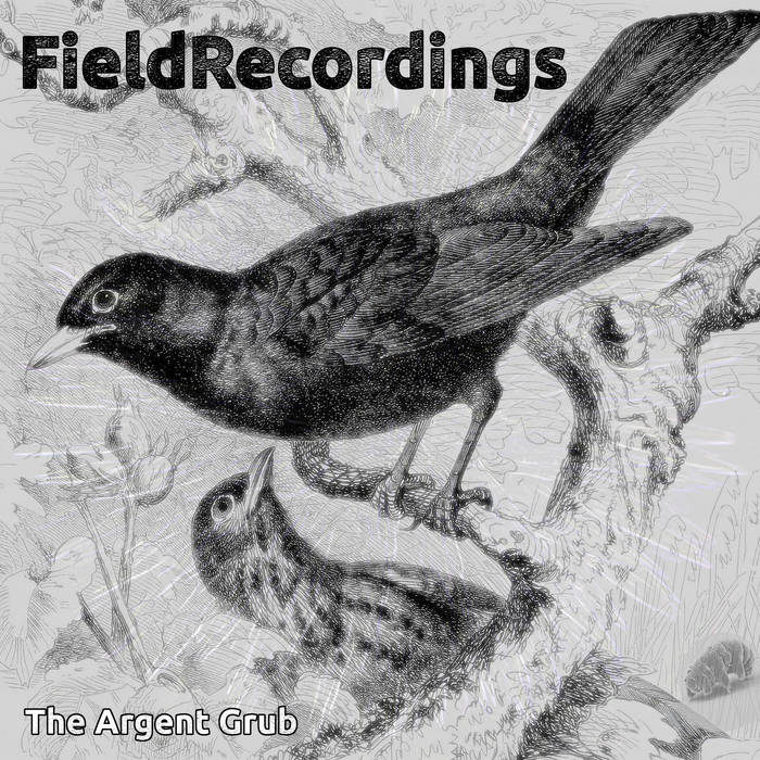 Field Recordings