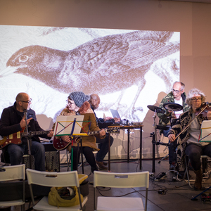 img 9260 53348401296 o - Photos by Martin Singleton